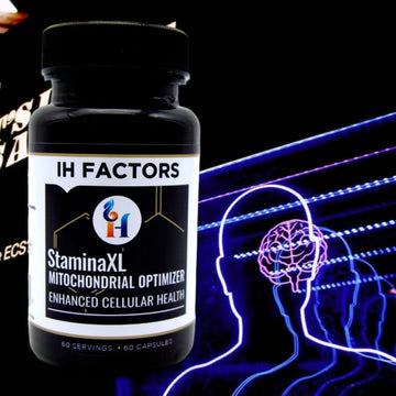StaminaXL
