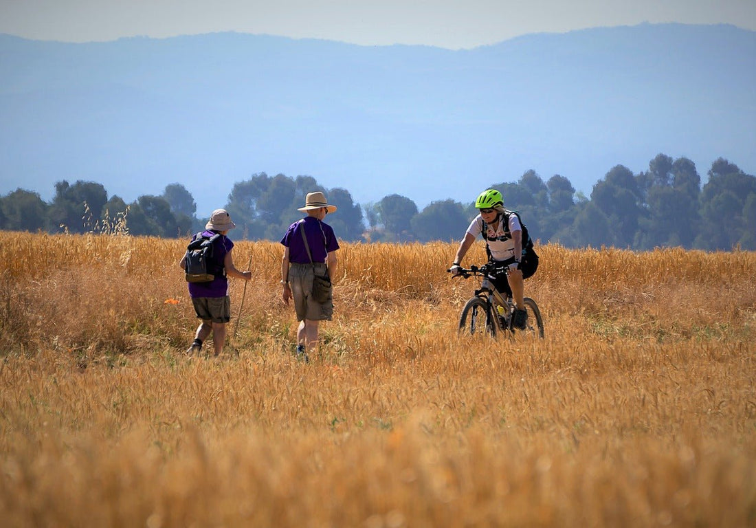 The Anti-Aging Powerhouse for Optimal Mitochondrial Function