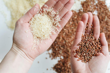 Red Yeast Rice
