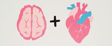 IH Factors  Magnesium and Heart Brain Health