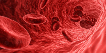 IH Factors - Unlocking Cellular Vitality