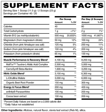 Ignite Pre Workout